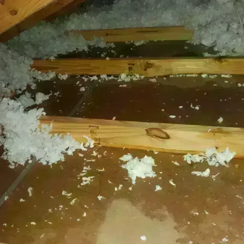 Attic Water Damage in Cochise County, AZ