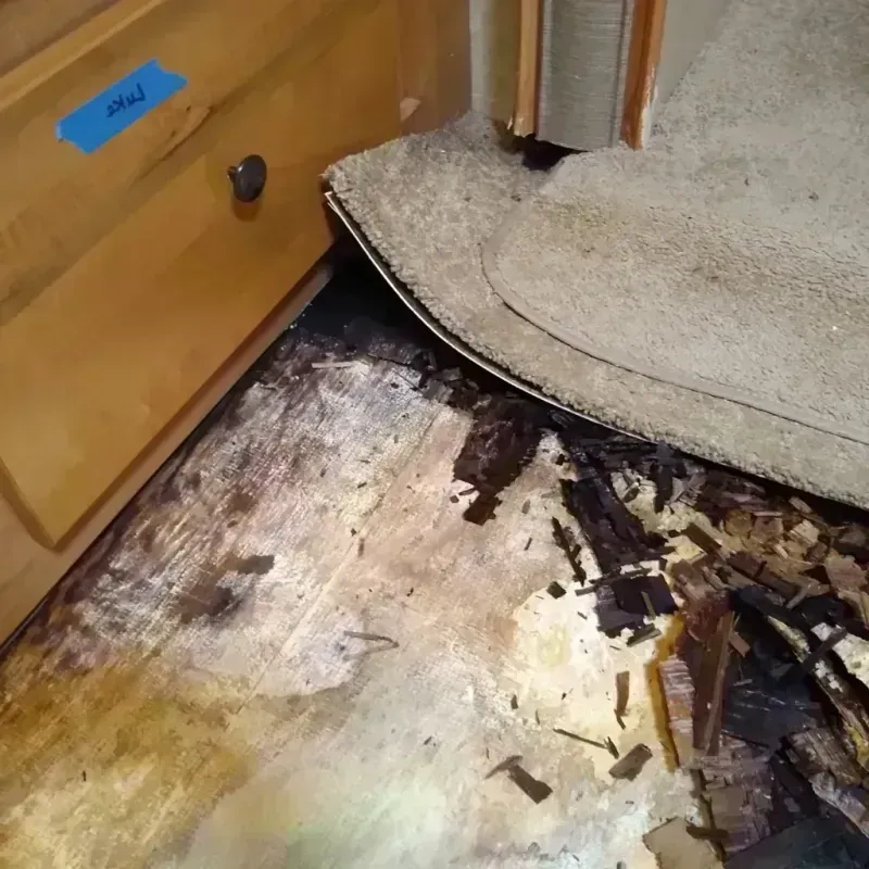 Wood Floor Water Damage in Cochise County, AZ